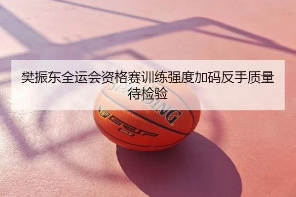 樊振东全运会资格赛训练强度加码反手质量待检验
