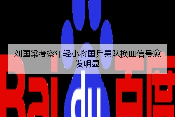 刘国梁考察年轻小将国乒男队换血信号愈发明显